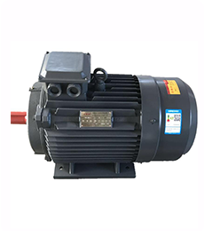 揚子自主研發(fā)銅制電機