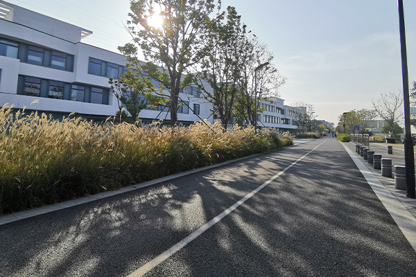 園區(qū)道路