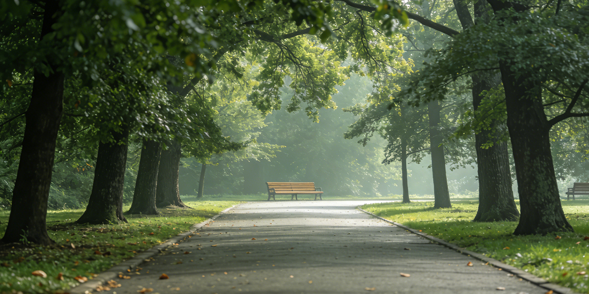 公園景區(qū)清潔